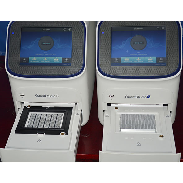 【RS8000X】ABI 定量PCR仪 Quantstudio 3/Quantstudio 5